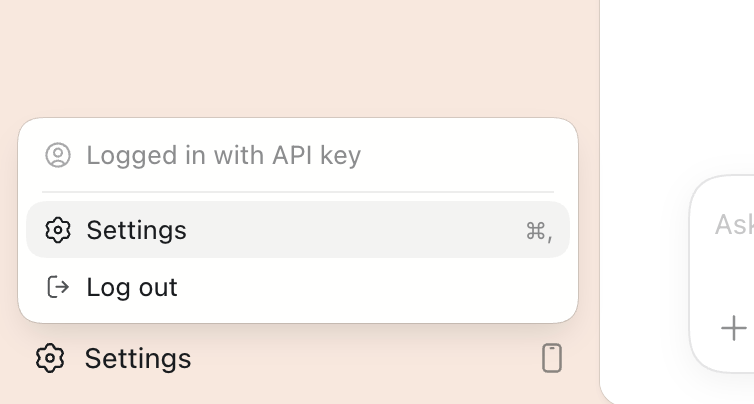 Codex 右下角 Setting 显示 Logged with API KEY 截图